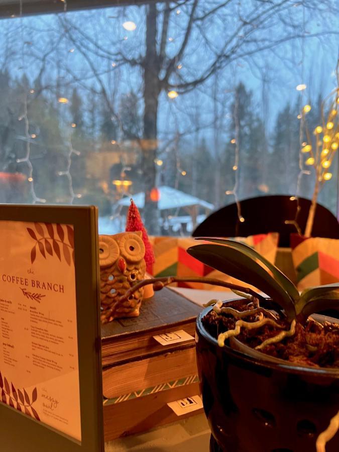 The Messy Owl Inn & Eco Haven Likely Luaran gambar